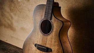 Breedlove Eco Pursuit EX S Concert Sweetgrass